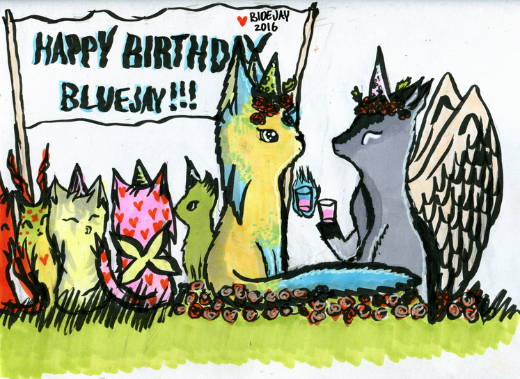 Bluejay's Birthday