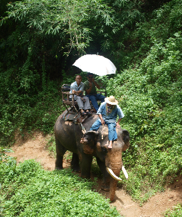 Elephant Ride