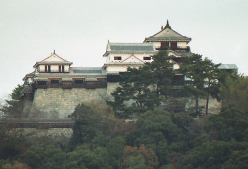 Matsuyama Castle Image